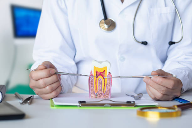 Best Emergency Orthodontic Repairs in Palo, IA